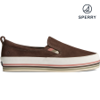 Women s Twin Gore Platform Sneaker - Brown (STS87821) Online Hot Sale