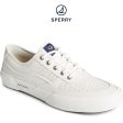 Sperry Men s SeaCycled™ Soletide Sneaker White (STS24846) Discount