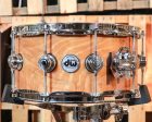 DW 6.5x14 Collector s Maple Natural Lacquer over Olive Ash Burl Snare Drum - SO#1101163 Fashion