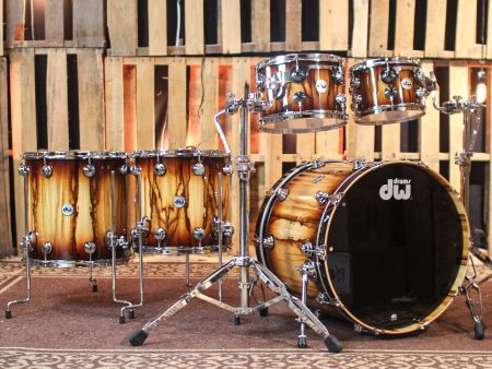 DW Collector s Maple SSC Tobacco Burst over Chen Chen Drum Set - 22,10,12,14,16 - SO#1328480 Online