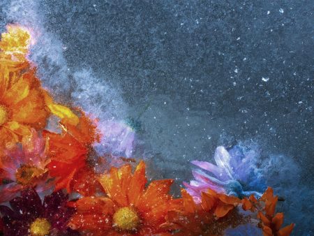 Flowers Found Frozen in an Icy Creek, #2 For Sale