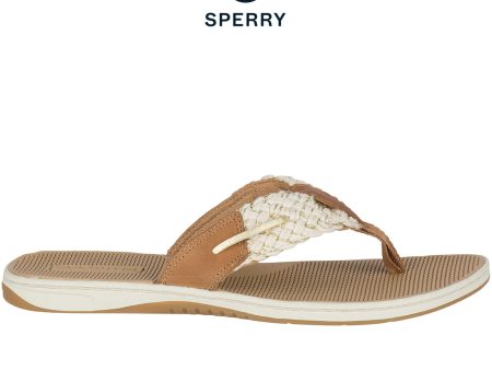 Sperry Women s Parrotfish Thong Sandal - Sahara (STS82816) on Sale