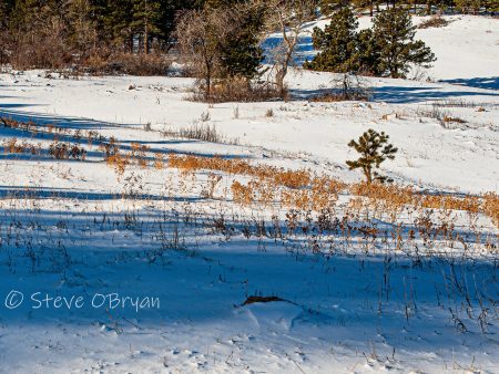 Blue Chautauqua Winter Morning Fashion