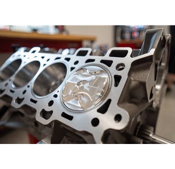 2024 Ford F-150 TSP Forged 5.0L F150 Coyote Gen 4 Short Block 12:1 W  Hoops Online Hot Sale